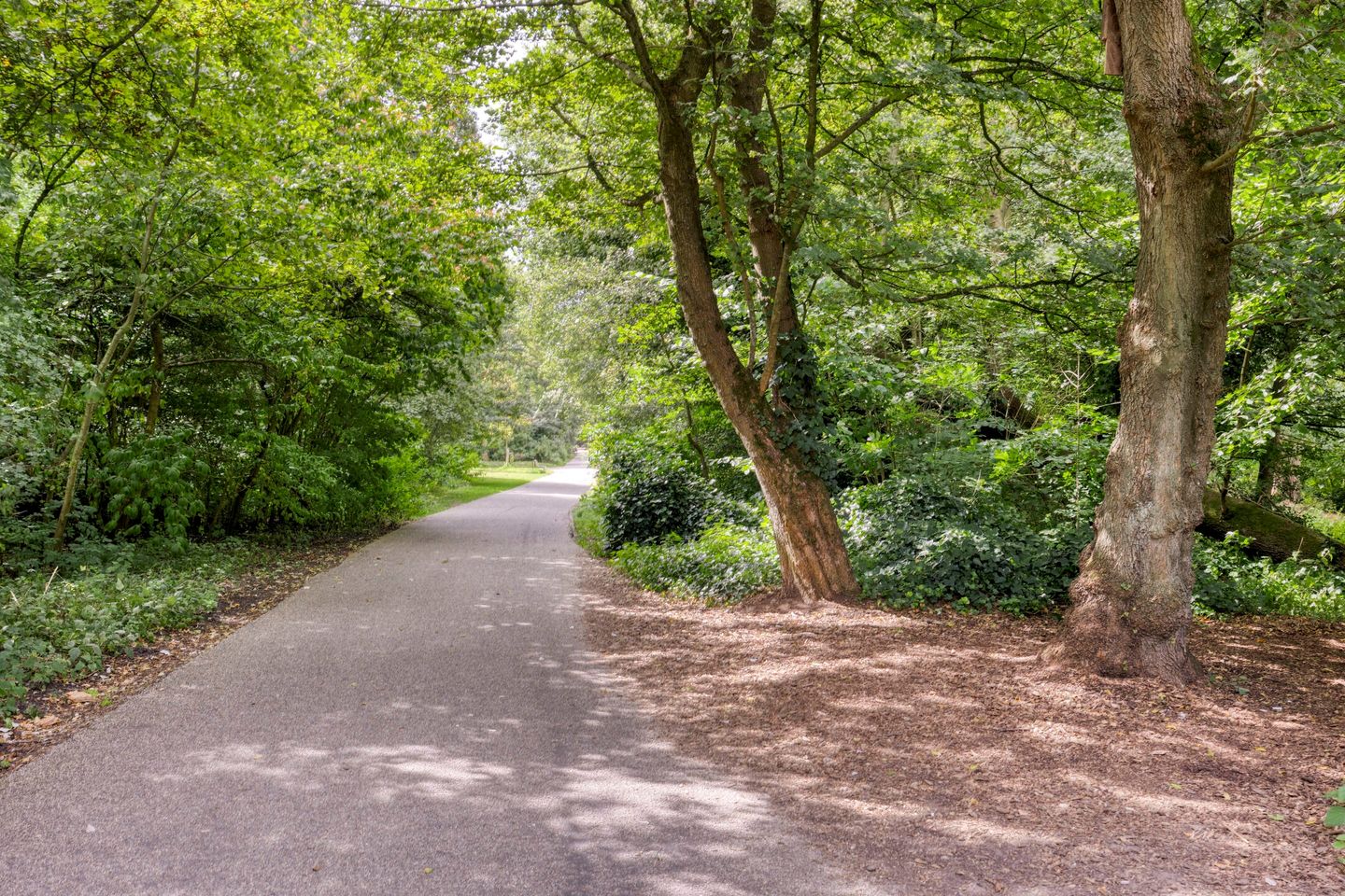 Foto 35 van Flevoparkweg 110