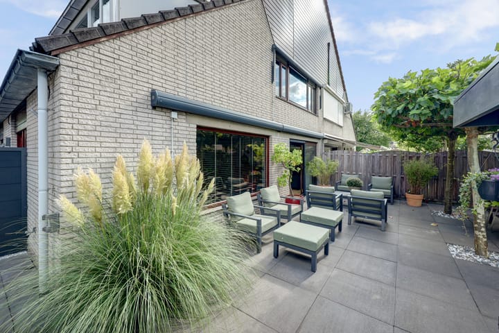 Foto 1 van Cichorei 16