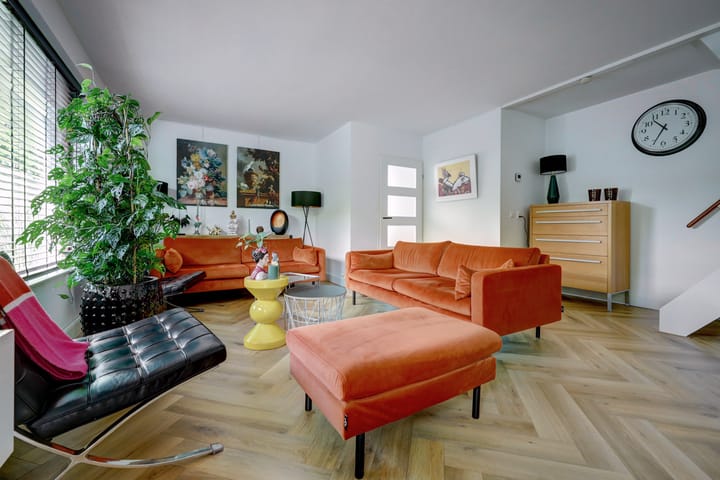 Foto 2 van Cichorei 16