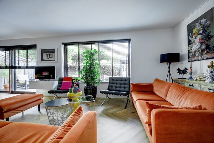 Foto 3 van Cichorei 16