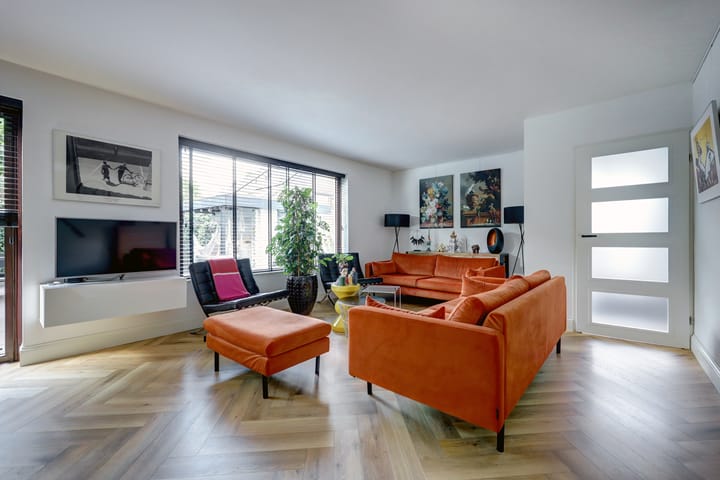 Foto 4 van Cichorei 16