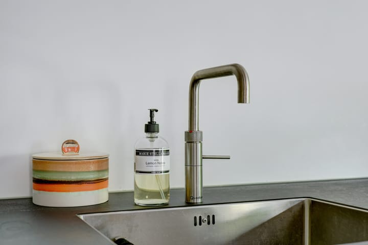 Foto 10 van Cichorei 16