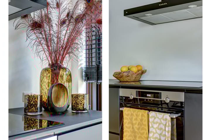 Foto 12 van Cichorei 16