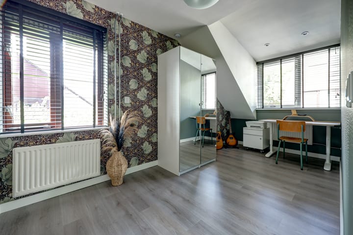 Foto 15 van Cichorei 16