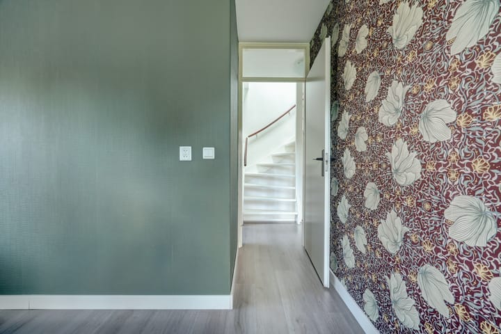 Foto 17 van Cichorei 16