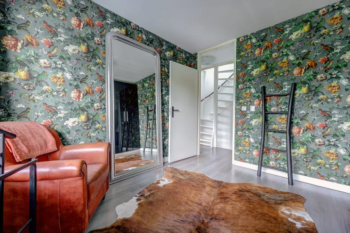 Foto 18 van Cichorei 16