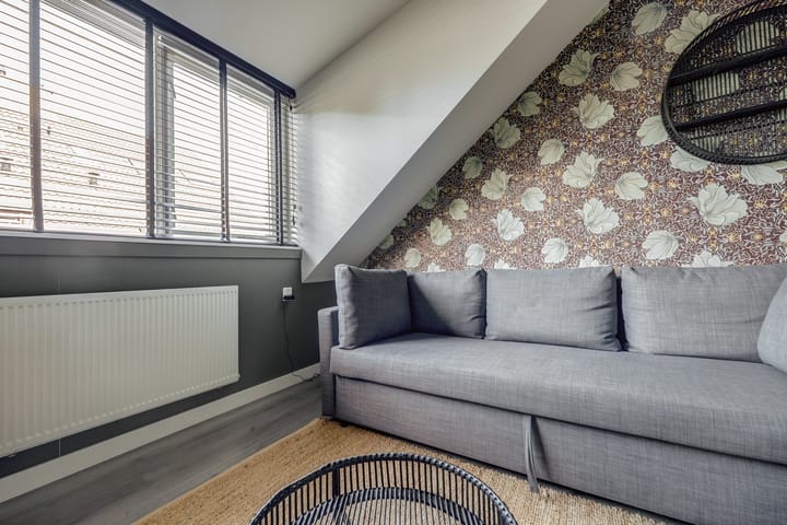 Foto 20 van Cichorei 16