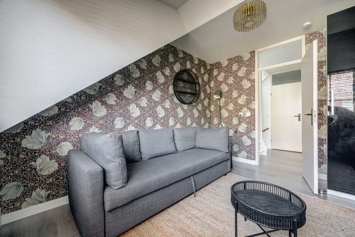 Foto 21 van Cichorei 16