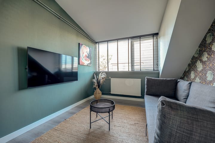 Foto 22 van Cichorei 16