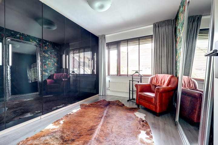 Foto 24 van Cichorei 16