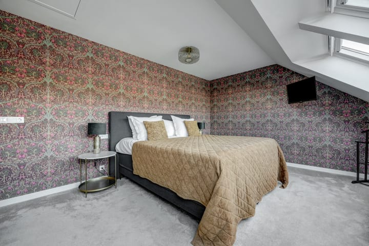 Foto 31 van Cichorei 16