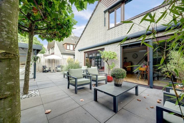 Foto 33 van Cichorei 16