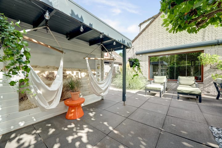 Foto 34 van Cichorei 16