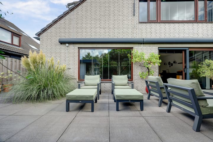 Foto 35 van Cichorei 16