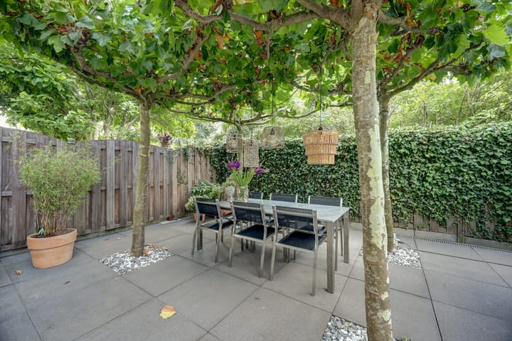 Foto 36 van Cichorei 16