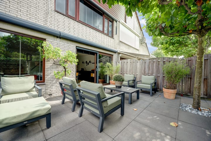 Foto 37 van Cichorei 16