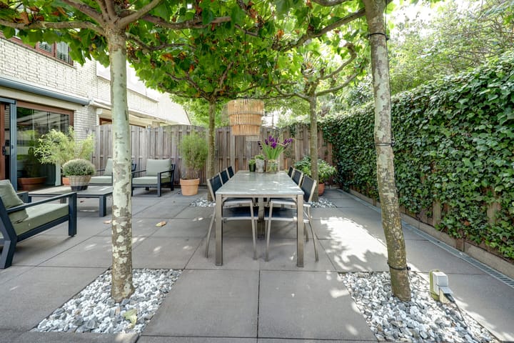 Foto 39 van Cichorei 16