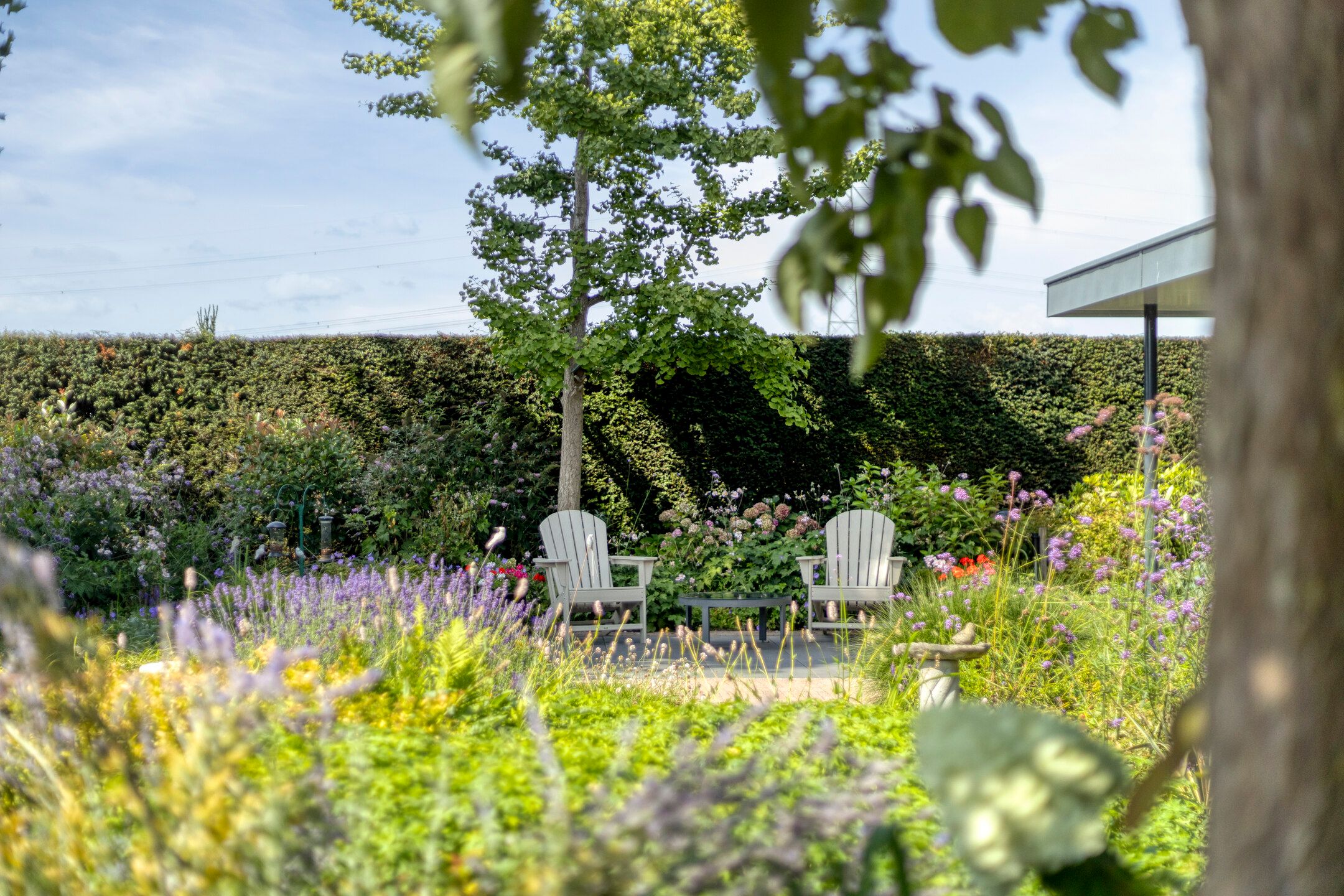 Foto 72 van Kersenbongerd 27