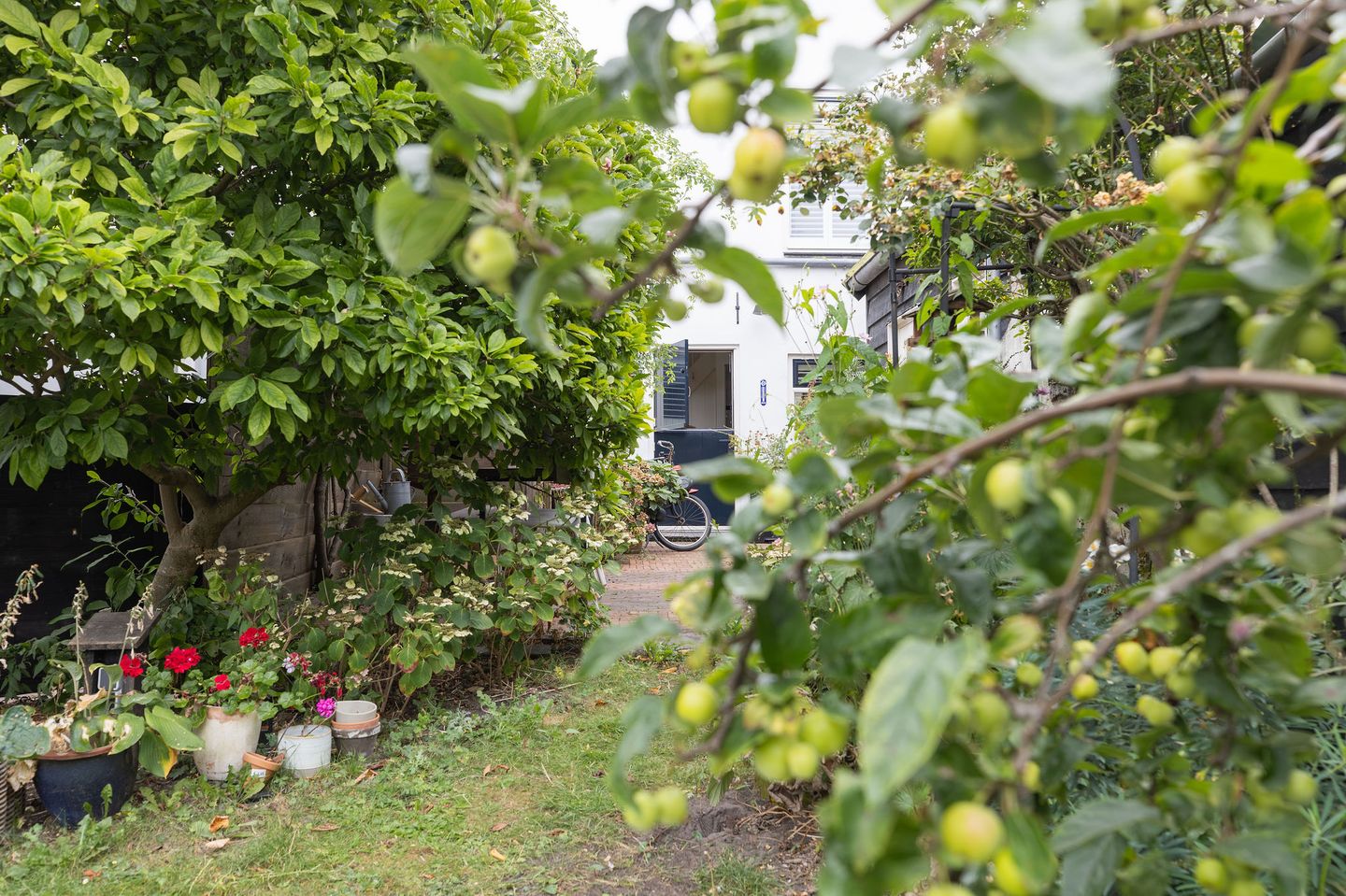 Foto 65 van Pieterstraat 46