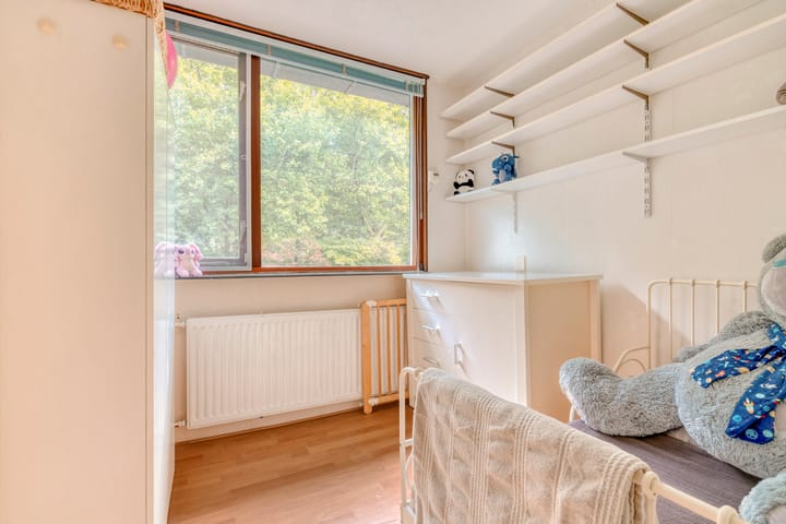 Foto 24 van Dunantstraat 38