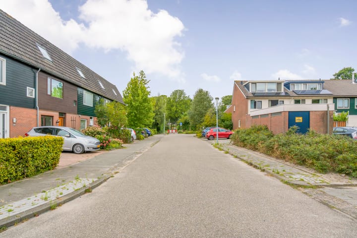 Foto 42 van Dunantstraat 38