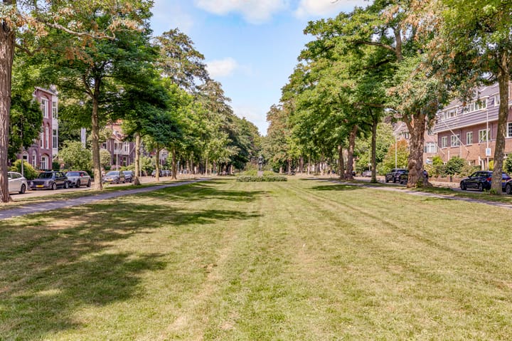 Foto 27 van Ramstraat 41-B