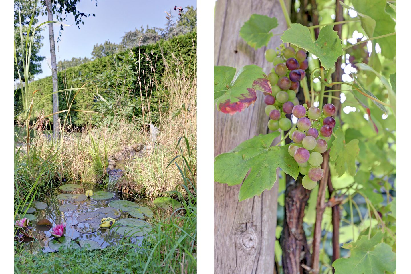 Foto 34 van Watermolen 1