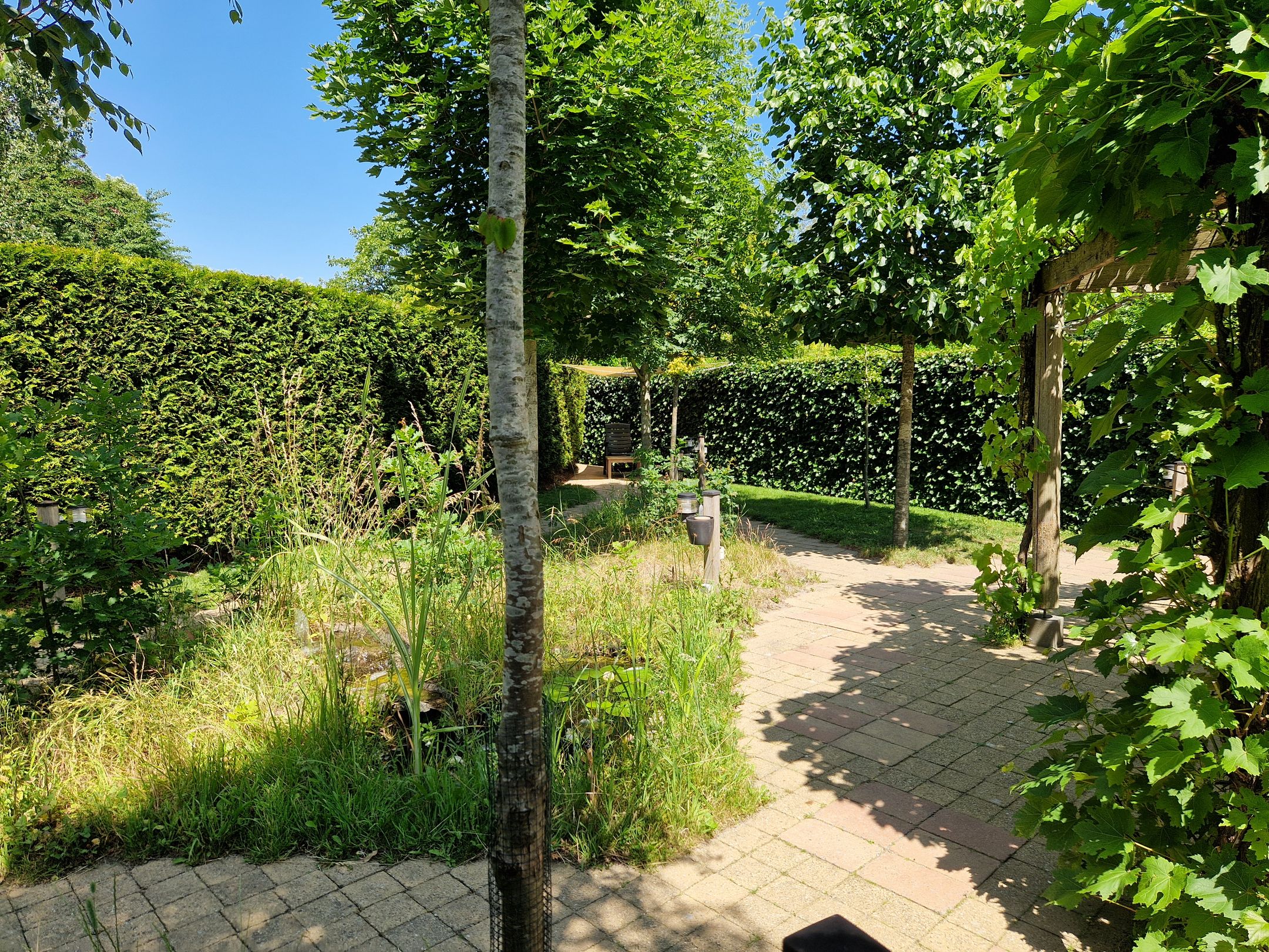 Foto 42 van Watermolen 1