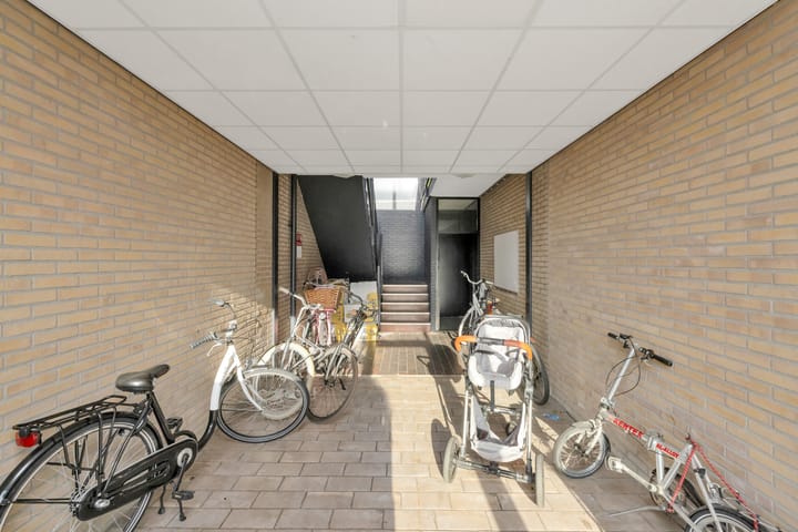 Foto 7 van Grote Beer 9