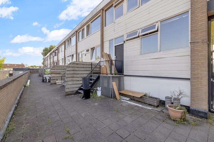 Foto 8 van Grote Beer 9