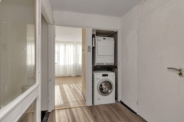 Foto 12 van Grote Beer 9