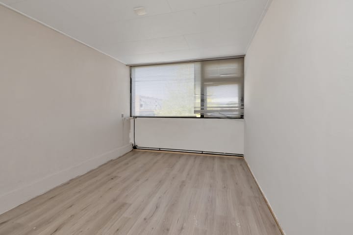 Foto 27 van Grote Beer 9