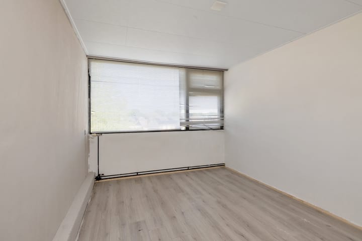 Foto 29 van Grote Beer 9