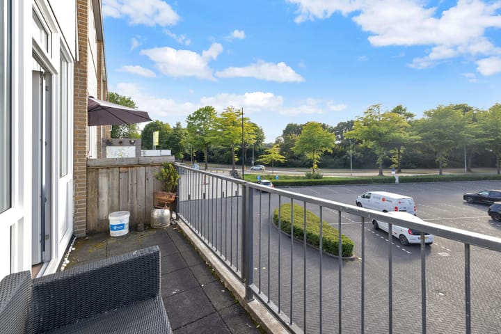 Foto 36 van Grote Beer 9