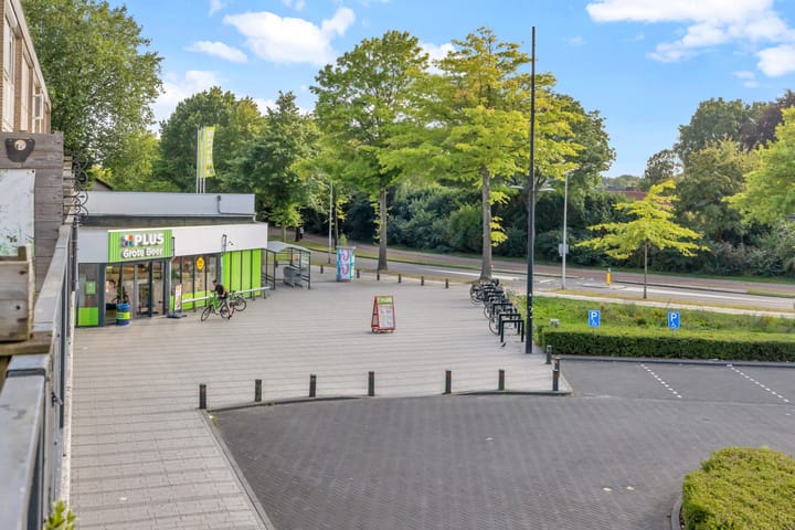 Foto 38 van Grote Beer 9