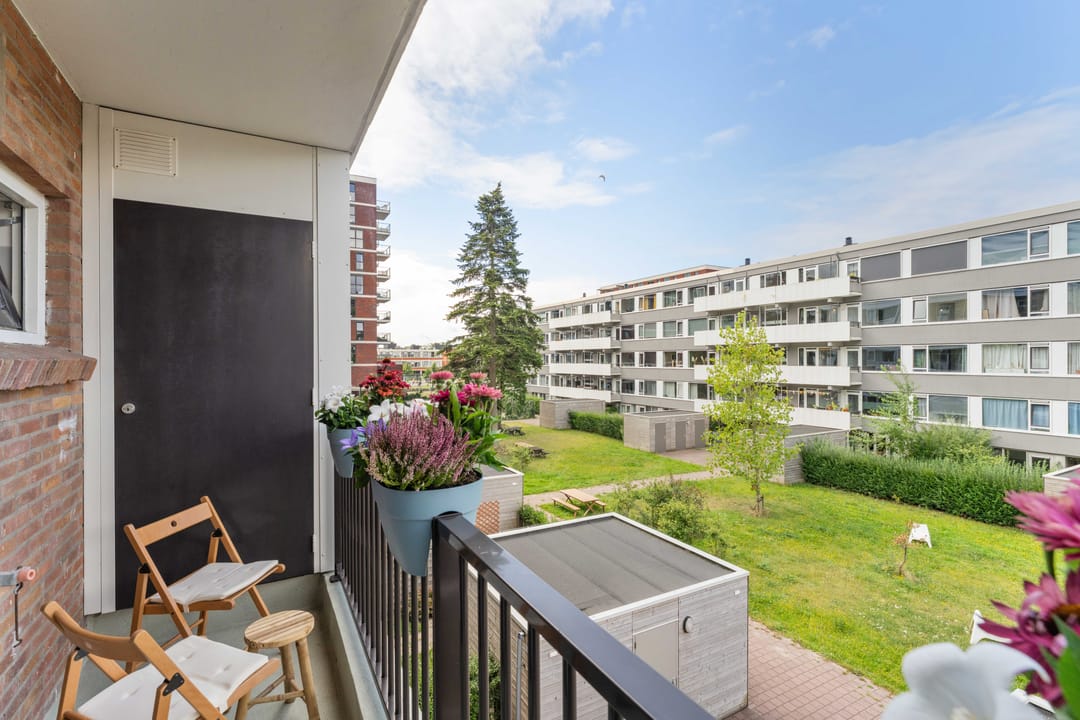 Foto 16 van Trumanlaan 497