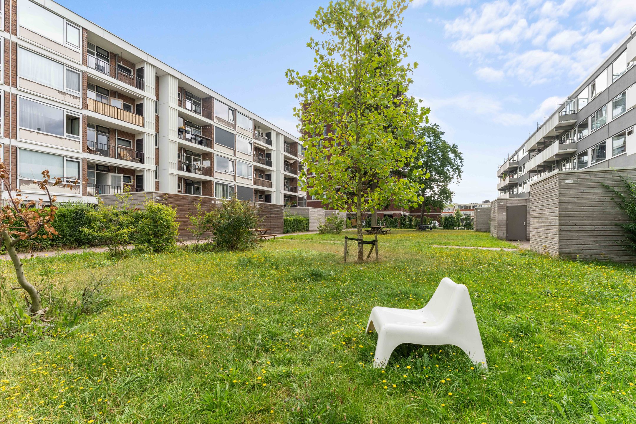 Foto 18 van Trumanlaan 497