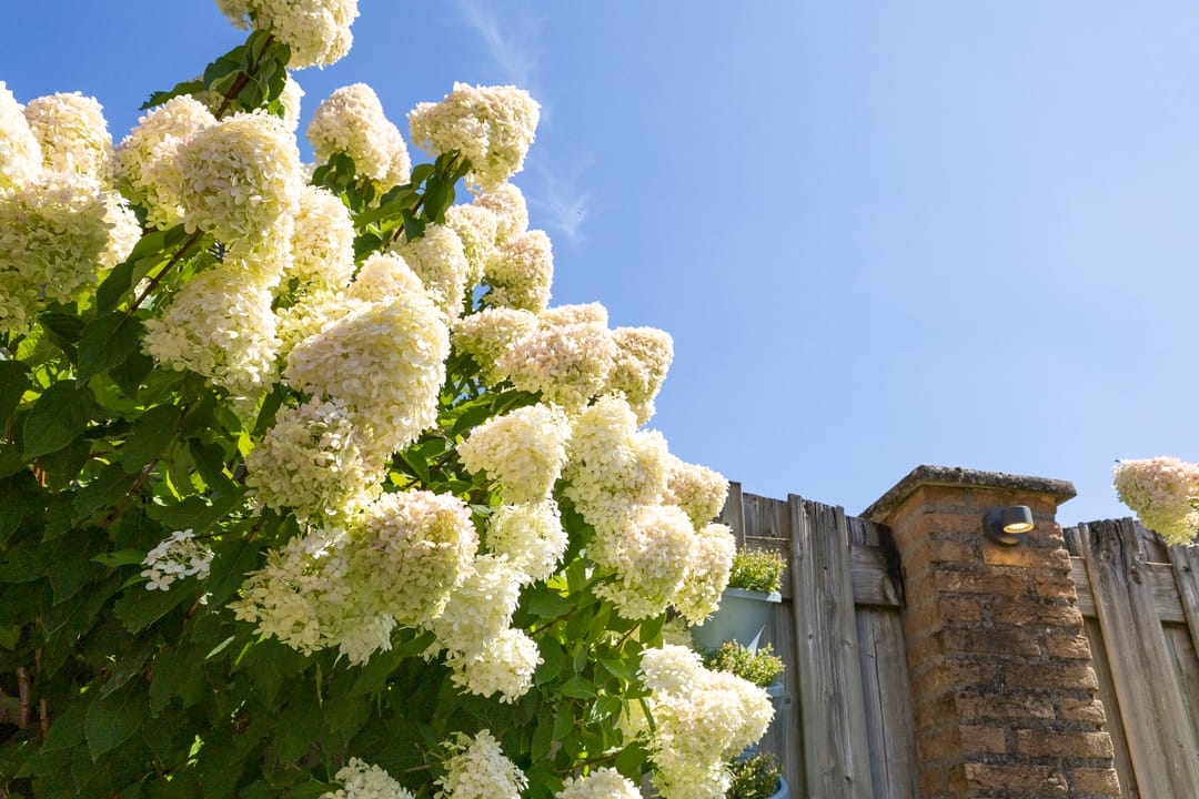 Foto 46 van Wolfskamerweg 72