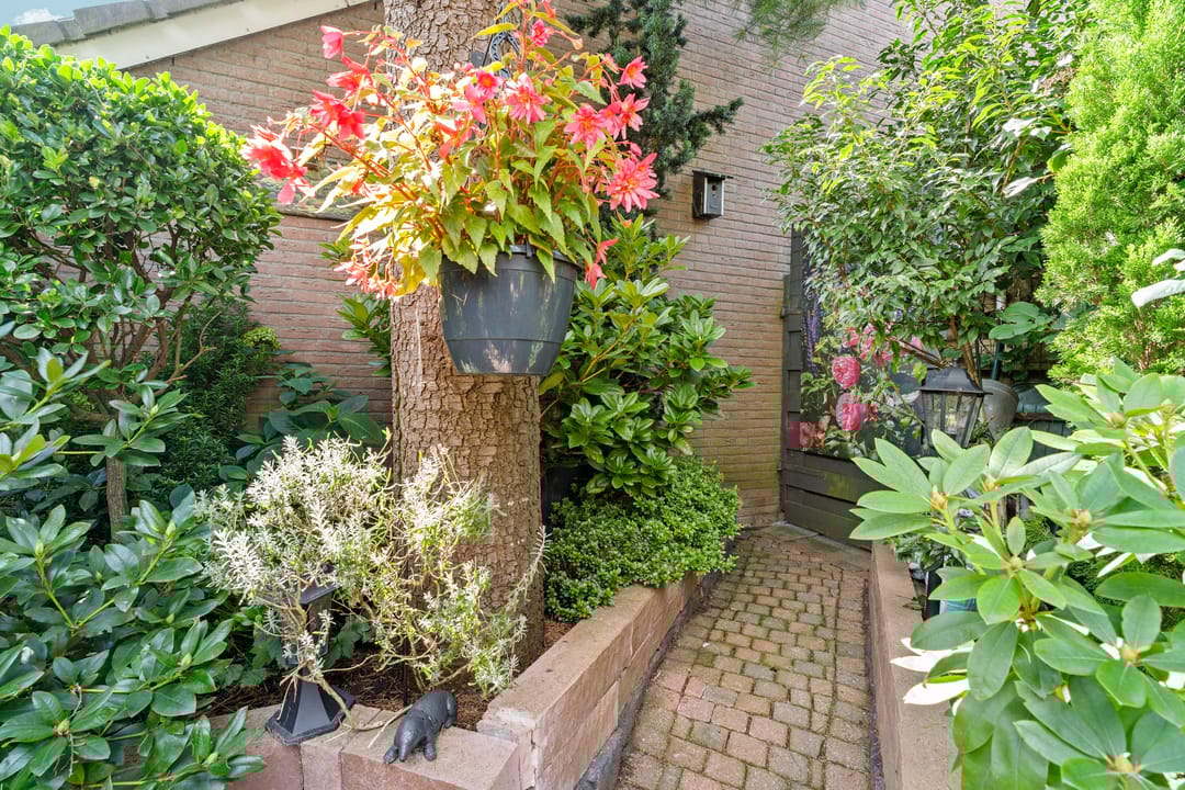 Foto 41 van Oleanderstraat 4