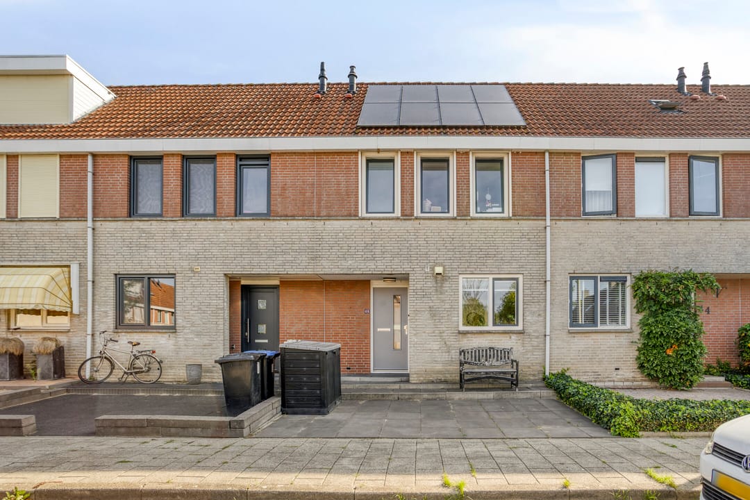 Foto 1 van Grauwe Gans 46