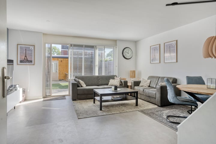 Foto 2 van Grauwe Gans 46