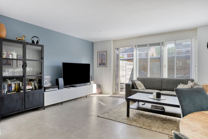 Foto 3 van Grauwe Gans 46