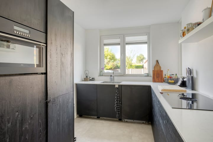 Foto 5 van Grauwe Gans 46