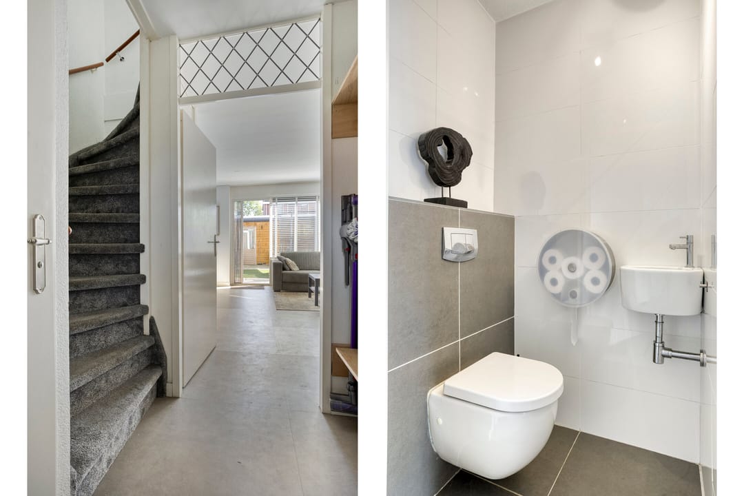 Foto 8 van Grauwe Gans 46