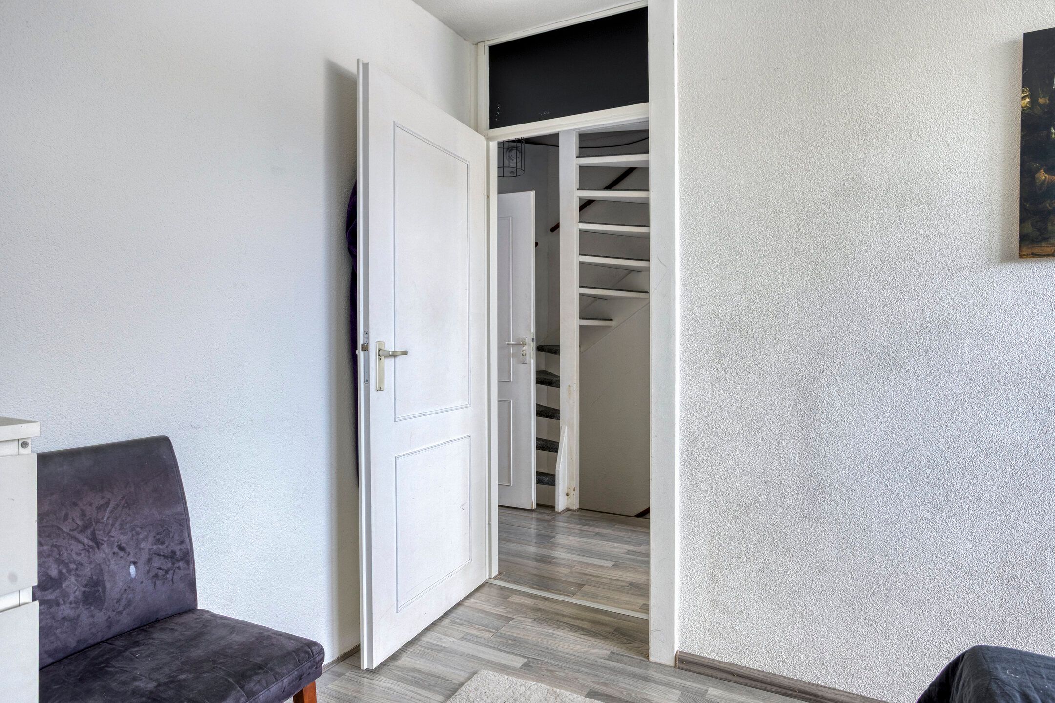 Foto 9 van Grauwe Gans 46