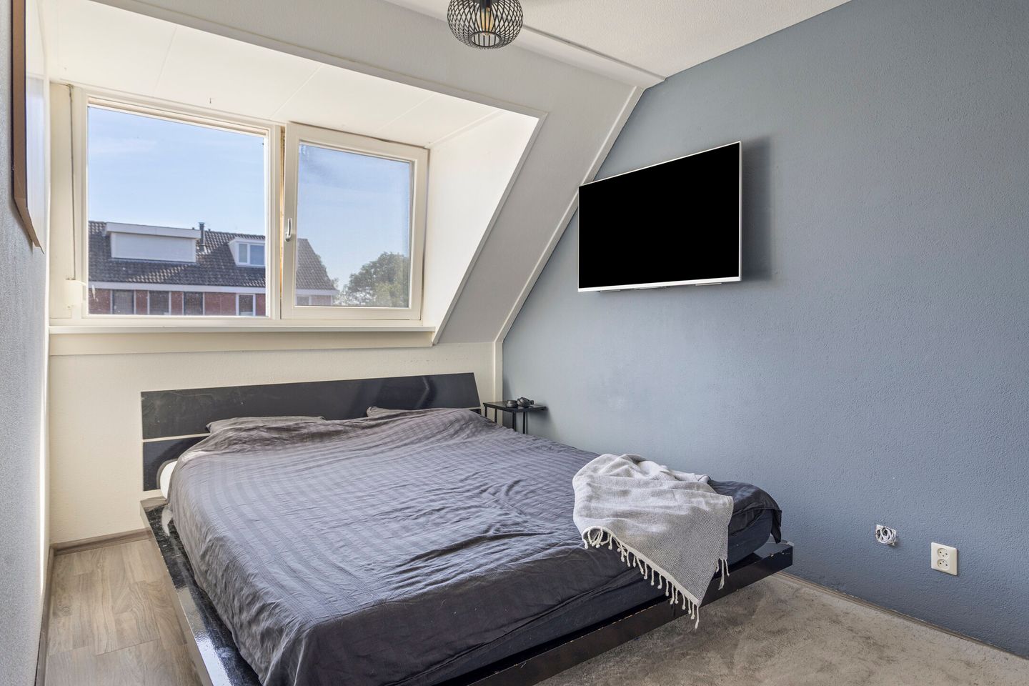 Foto 10 van Grauwe Gans 46