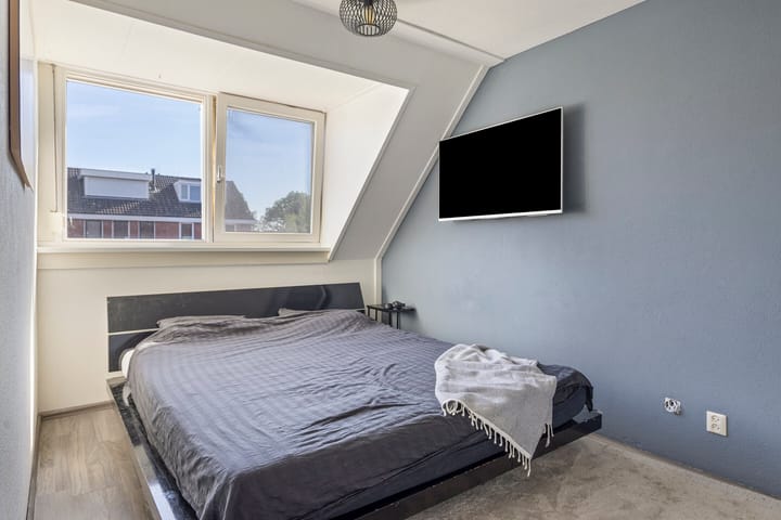 Foto 10 van Grauwe Gans 46