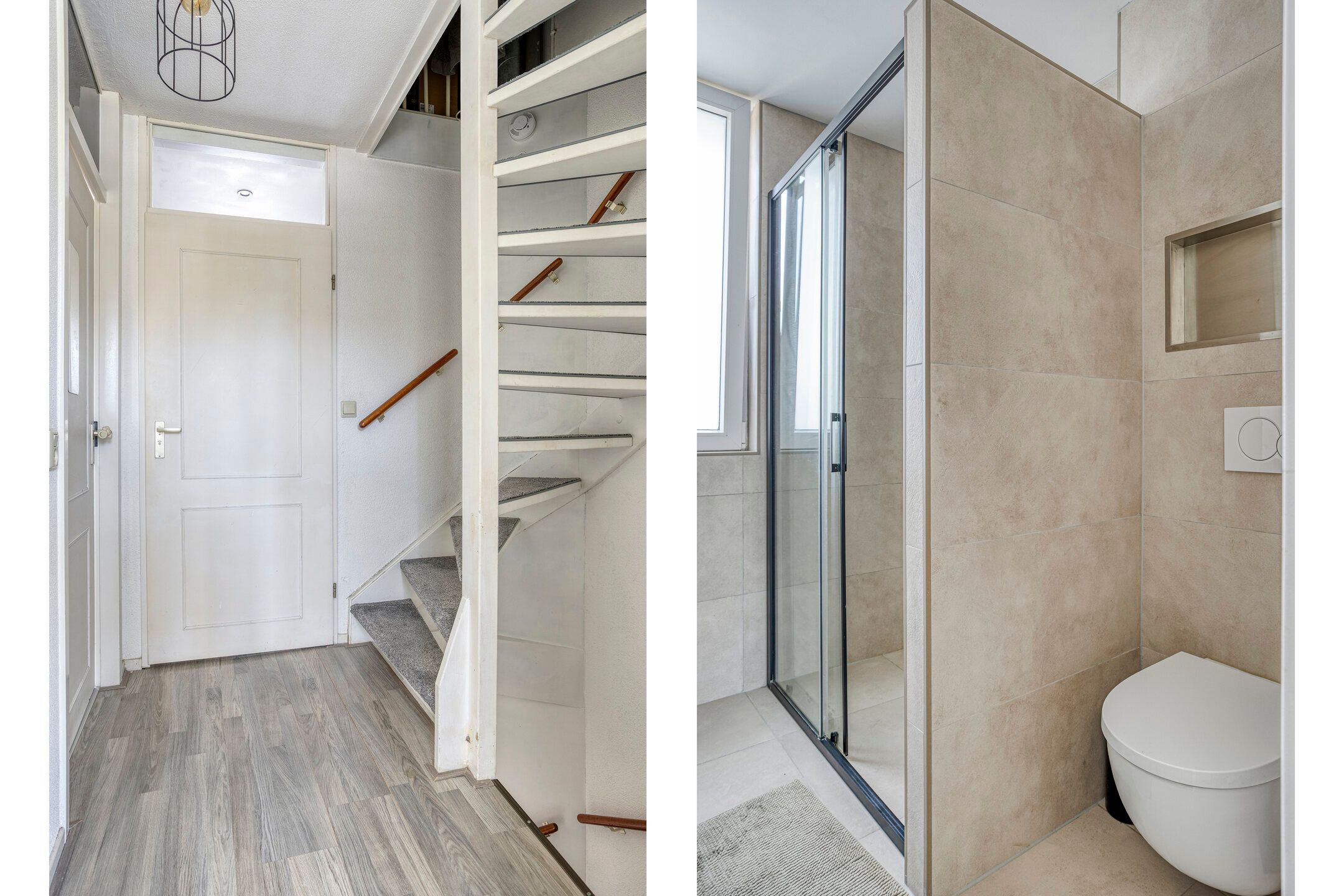 Foto 12 van Grauwe Gans 46