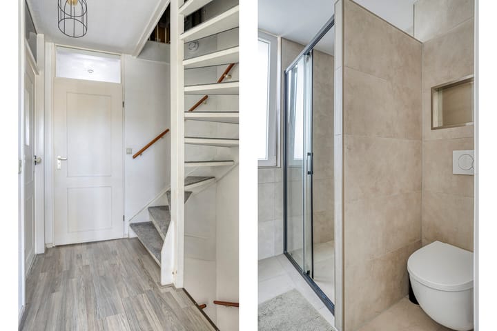 Foto 12 van Grauwe Gans 46