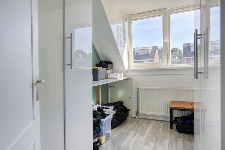 Foto 13 van Grauwe Gans 46